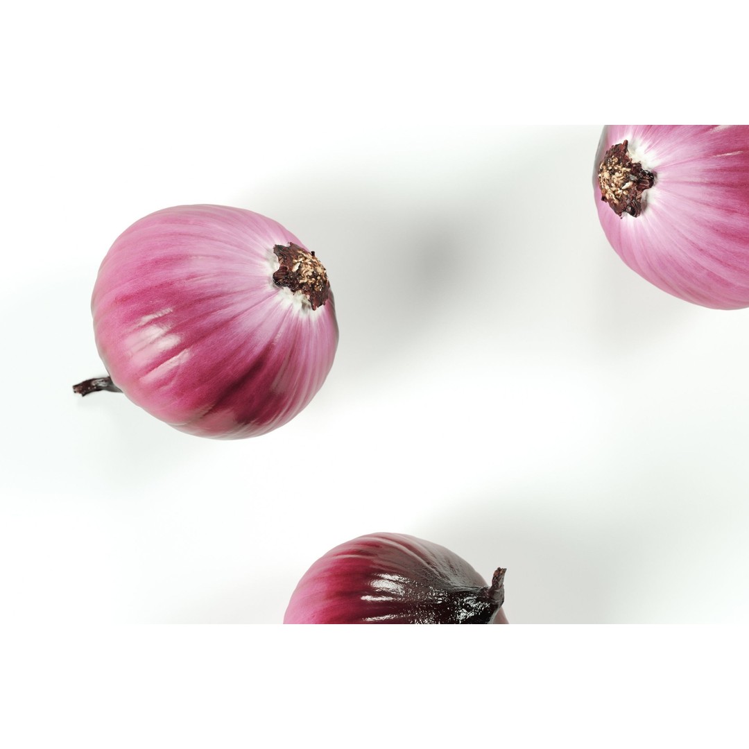 Peeled Red Onion 3D Model – Realistic PBR Textures, FBX & OBJ - View 5