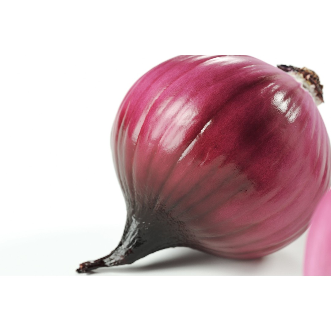 Peeled Red Onion 3D Model – Realistic PBR Textures, FBX & OBJ - View 6