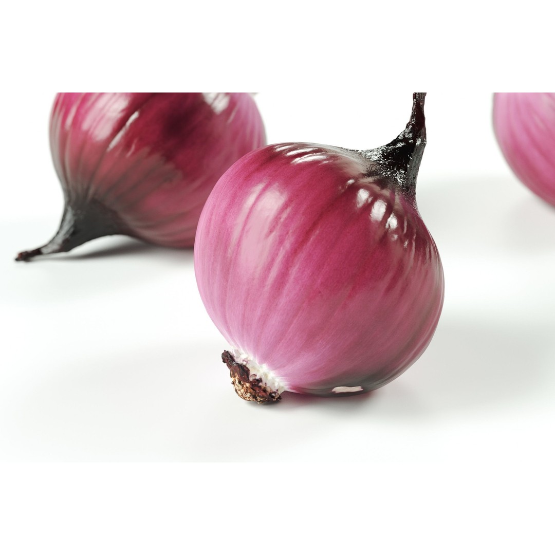 Peeled Red Onion 3D Model – Realistic PBR Textures, FBX & OBJ - View 7