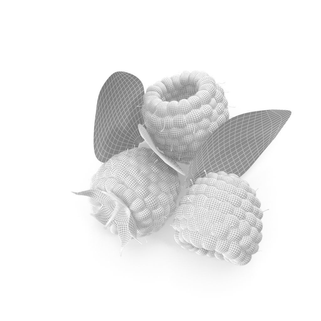 Raspberry 3D Model – Realistic High-Resolution Fruit Asset, FBX