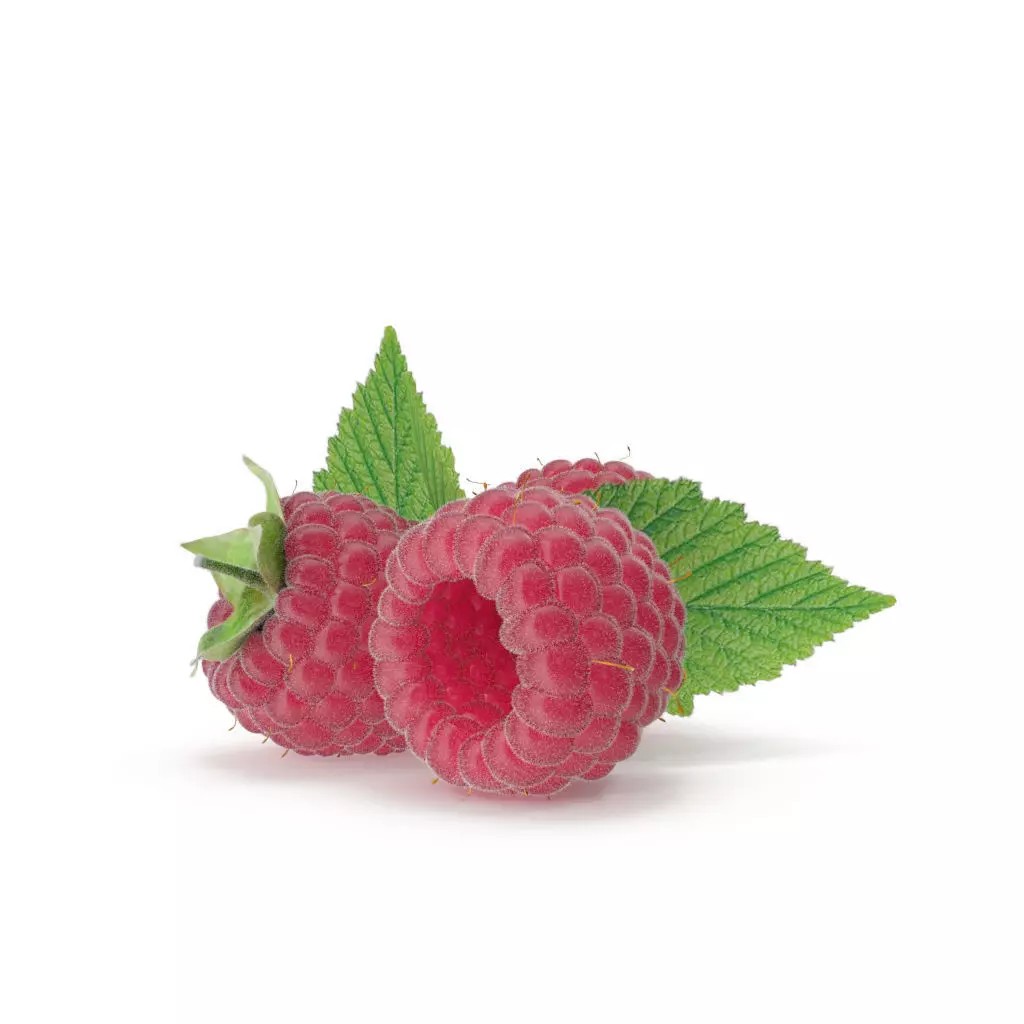 Raspberry 3D Model – Realistic High-Resolution Fruit Asset, FBX - View 2