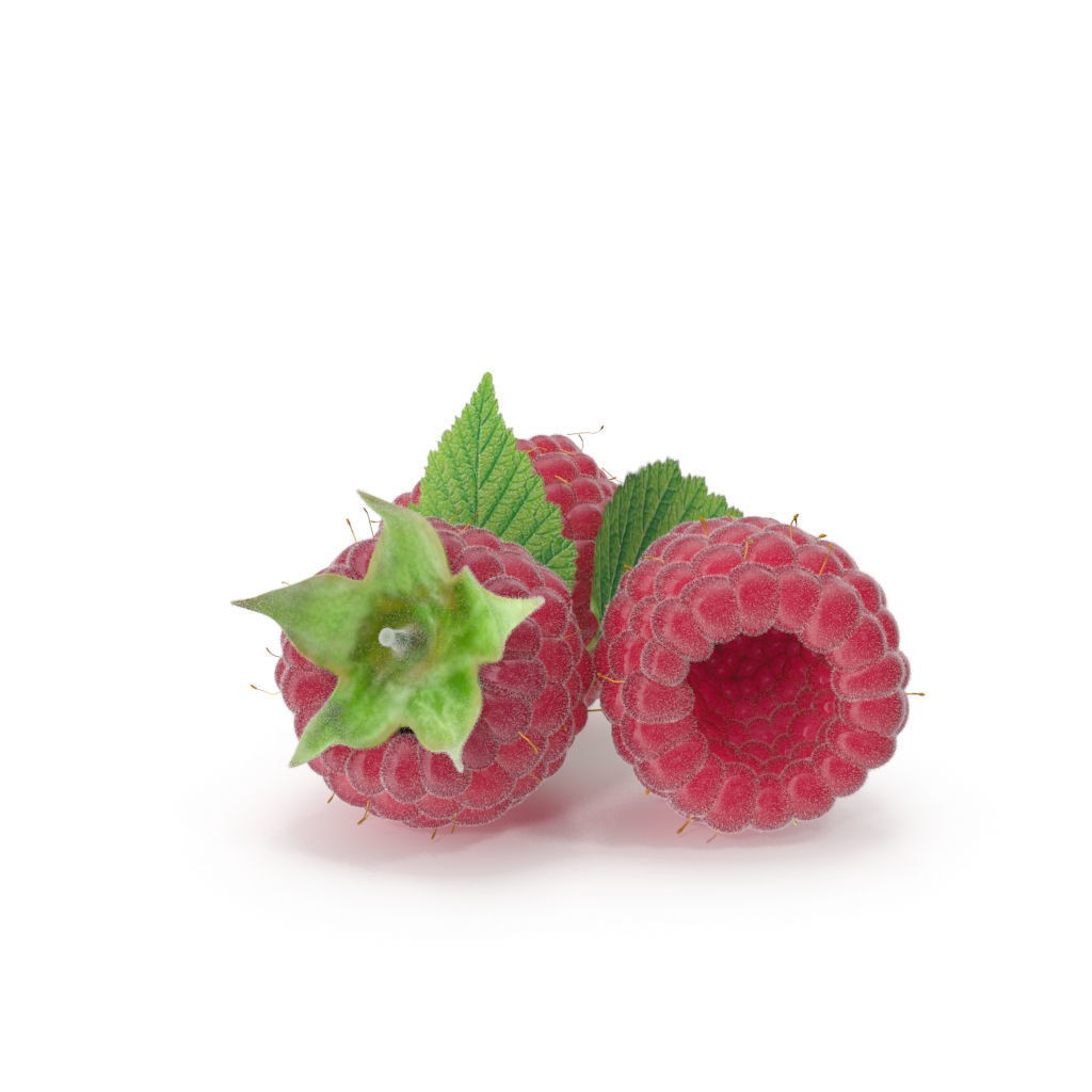 Raspberry 3D Model – Realistic High-Resolution Fruit Asset, FBX - View 3