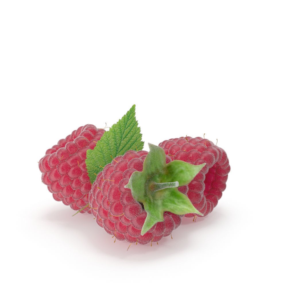 Raspberry 3D Model – Realistic High-Resolution Fruit Asset, FBX - View 4