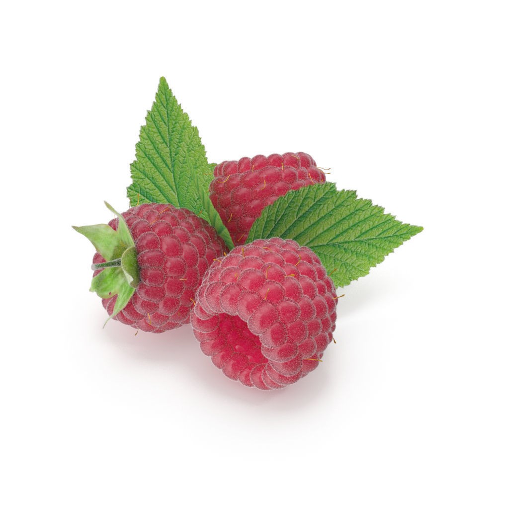 Raspberry 3D Model – Realistic High-Resolution Fruit Asset, FBX - View 5
