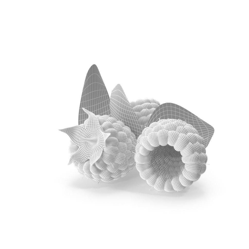 Raspberry 3D Model – Realistic High-Resolution Fruit Asset, FBX - View 6