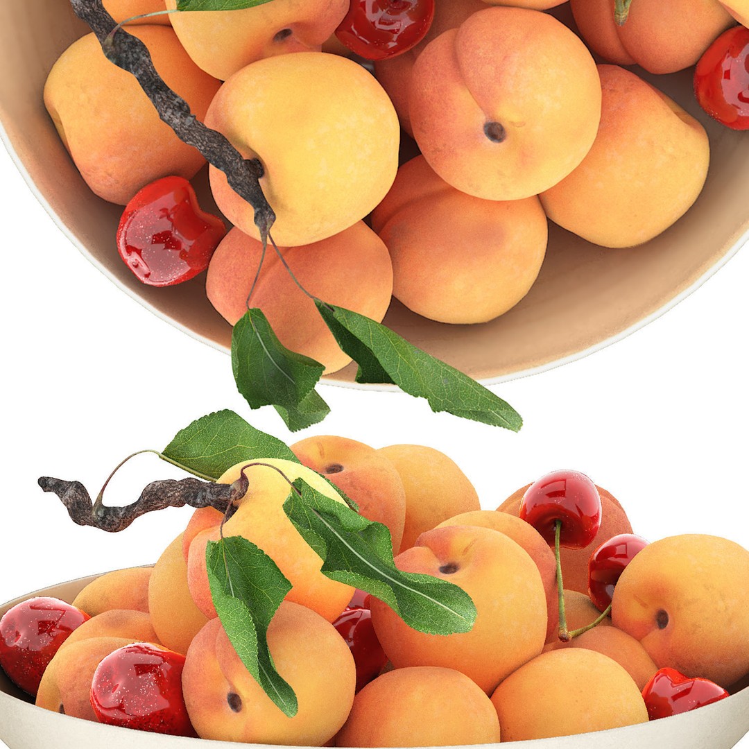 Bowl of Apricots and Cherries 3D Model – High Poly PBR Asset, FBX/OBJ - View 5