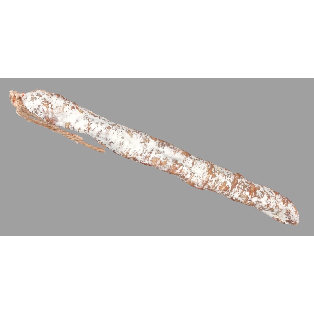 Dry Sausage 3D Model – Low Poly Game Asset, PBR Textures, FBX - View 5