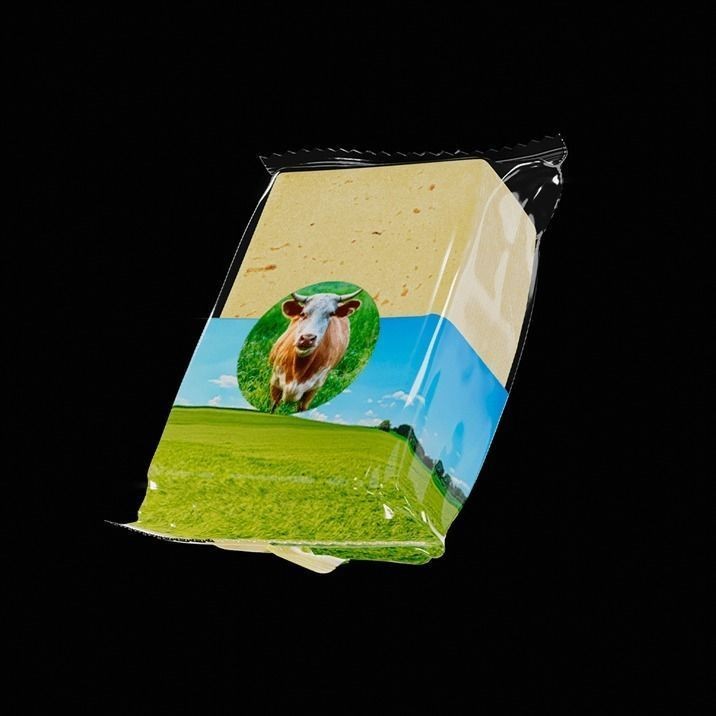 Piece of Cheese 3D Model – Photorealistic Food Asset, FBX, Blender - View 4