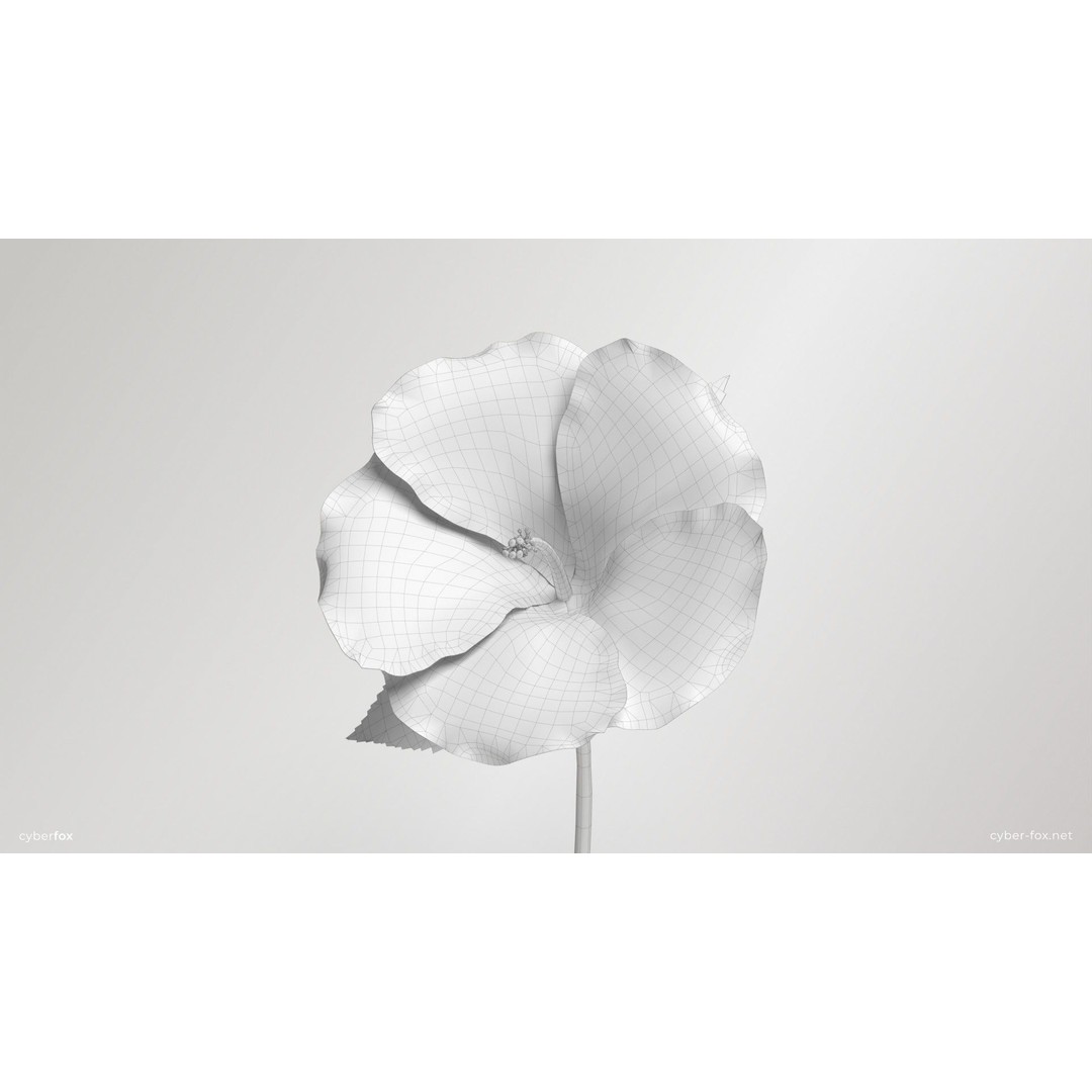 Hibiscus Flower 3D Model – Low Poly Game Asset, PBR Textures, FBX - View 16