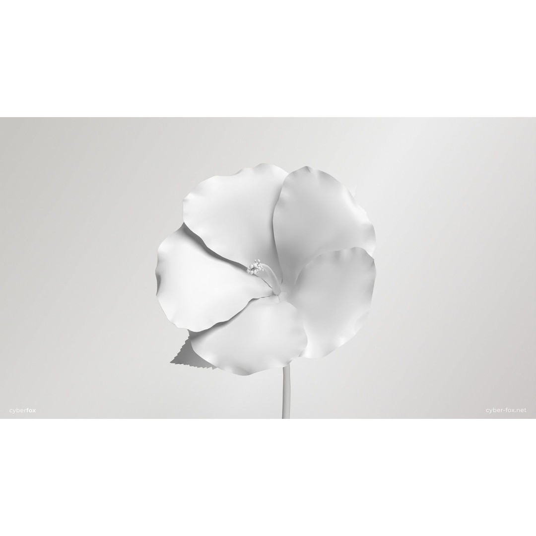 Hibiscus Flower 3D Model – Low Poly Game Asset, PBR Textures, FBX - View 17