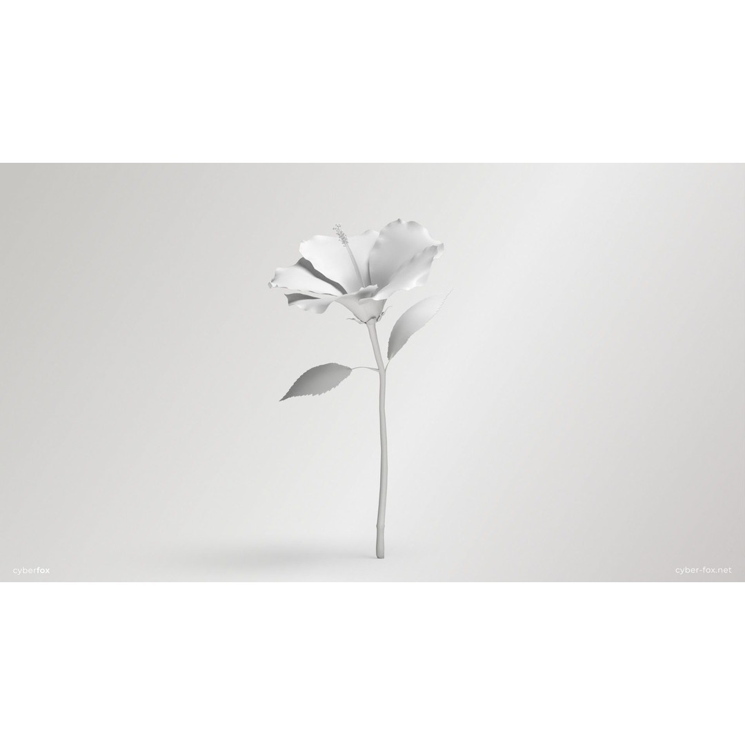 Hibiscus Flower 3D Model – Low Poly Game Asset, PBR Textures, FBX - View 19