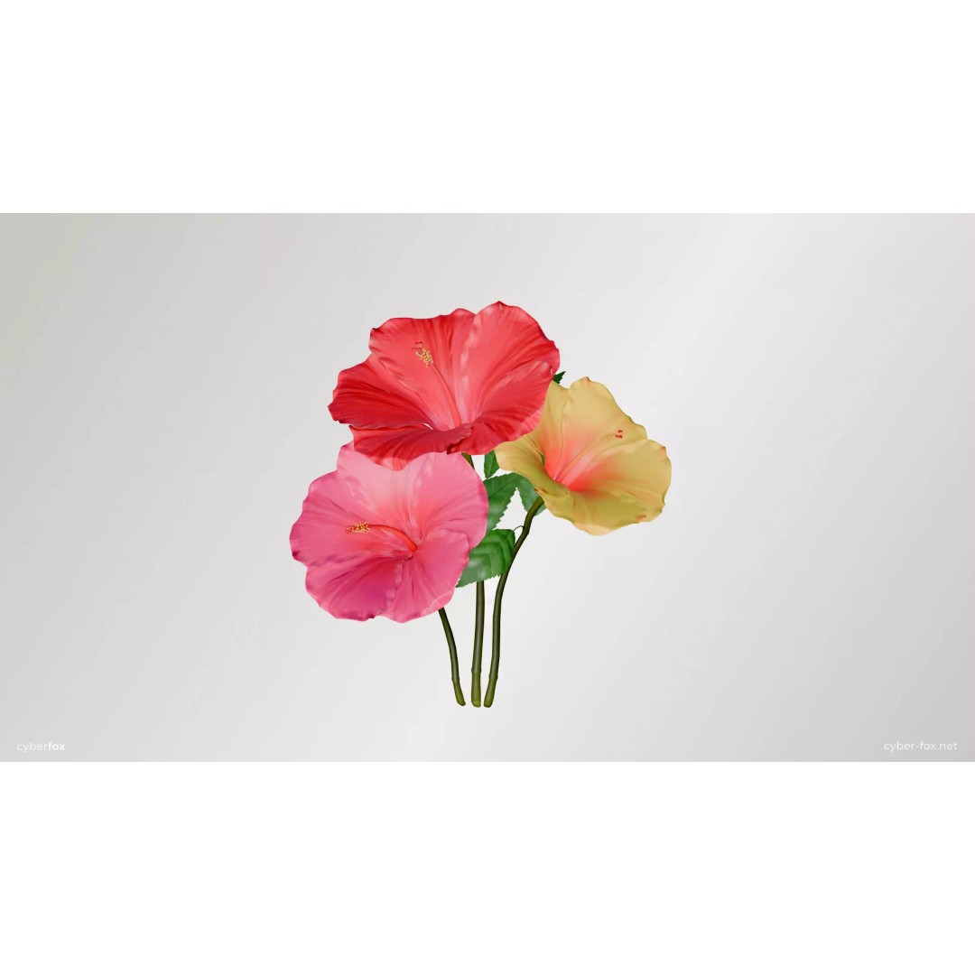 Hibiscus Flower 3D Model – Low Poly Game Asset, PBR Textures, FBX - View 2
