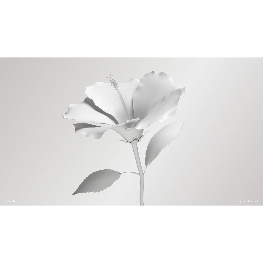Hibiscus Flower 3D Model – Low Poly Game Asset, PBR Textures, FBX - View 20