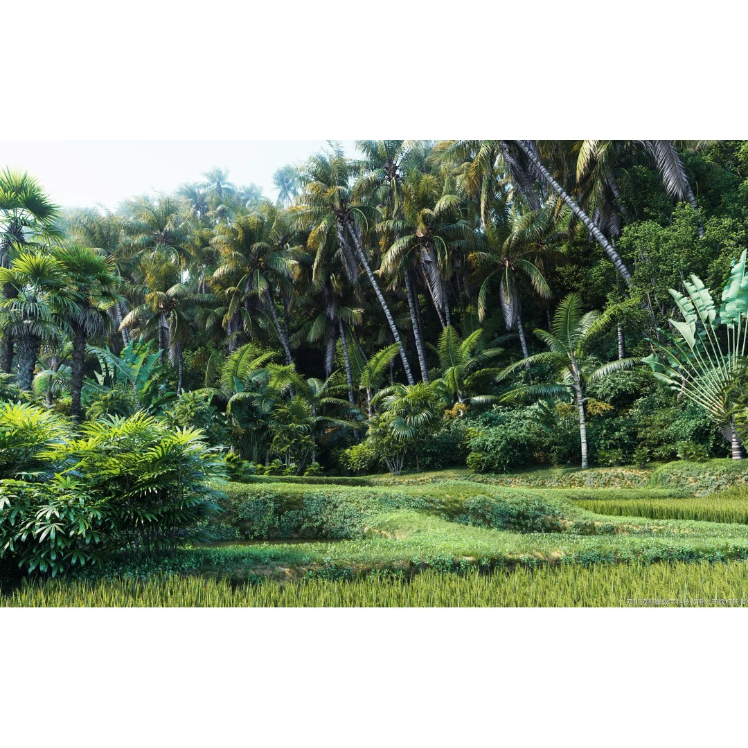 Palm Tree 3D Model – High Poly Plant Collection, FBX, Blender, PBR - View 2