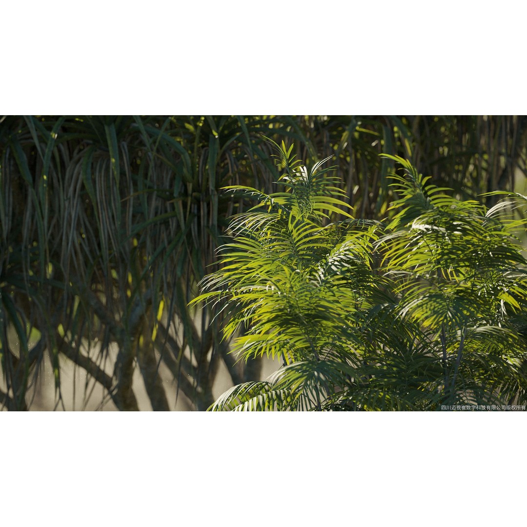 Palm Tree 3D Model – High Poly Plant Collection, FBX, Blender, PBR - View 20