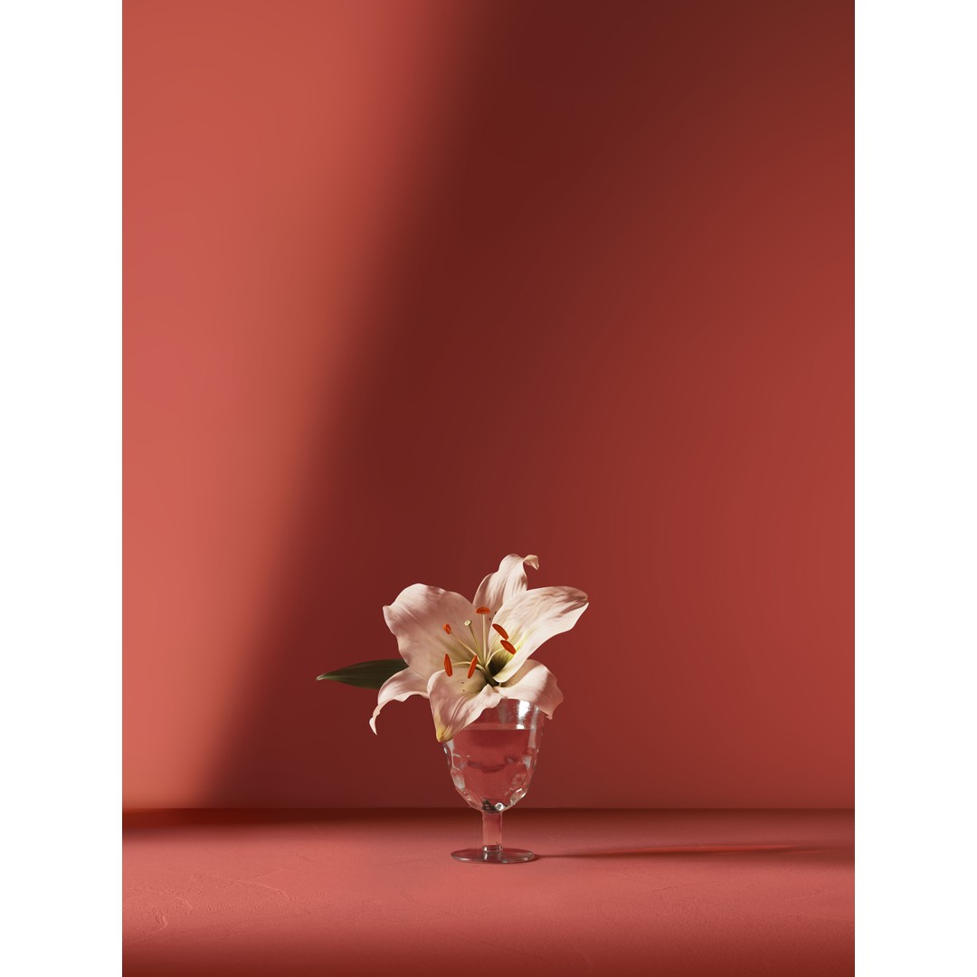 Small Flowers 3D Model – PBR Optimized Plant Asset, FBX, OBJ - View 4