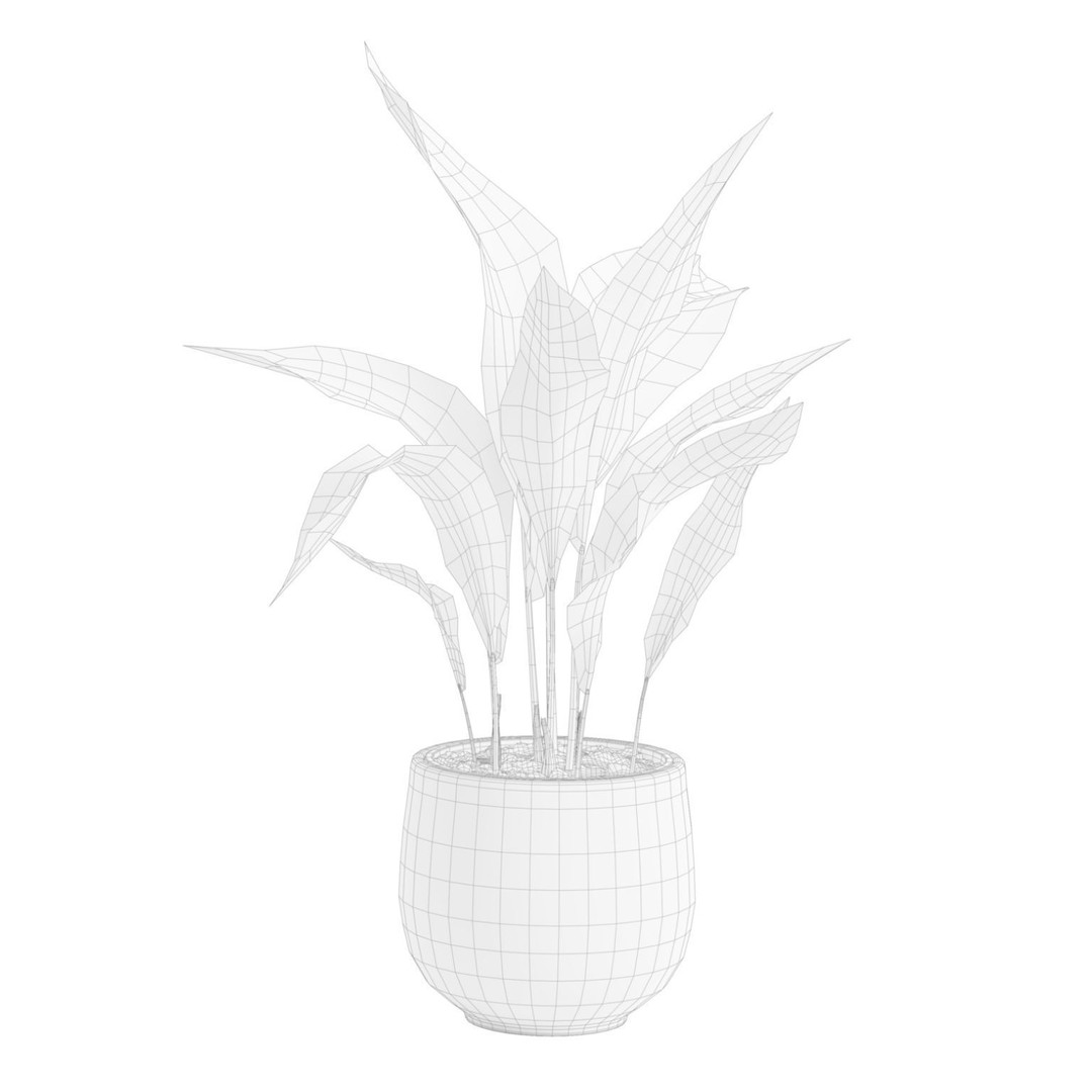 Aspidistra Elatior 3D Model – PBR Plant Asset, FBX, OBJ, Blender