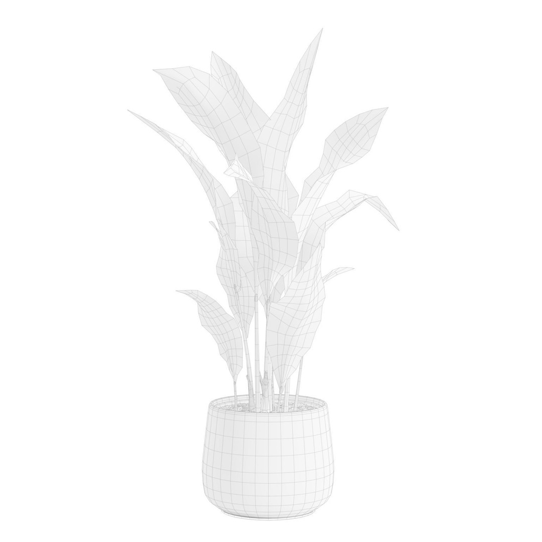 Aspidistra Elatior 3D Model – PBR Plant Asset, FBX, OBJ, Blender - View 8