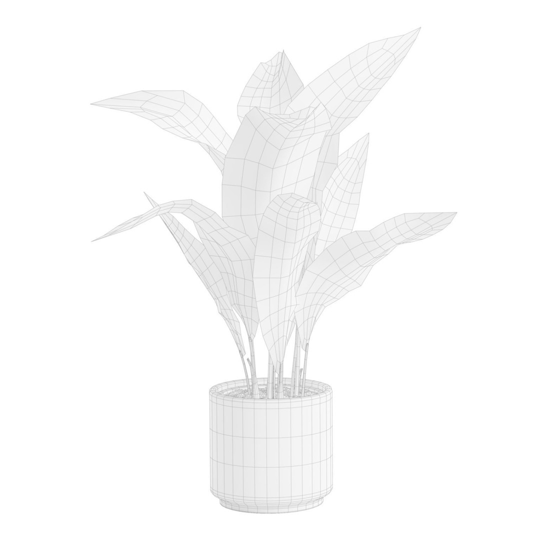 Aspidistra Elatior 3D Model – PBR Plant Asset, FBX, OBJ, Blender - View 9