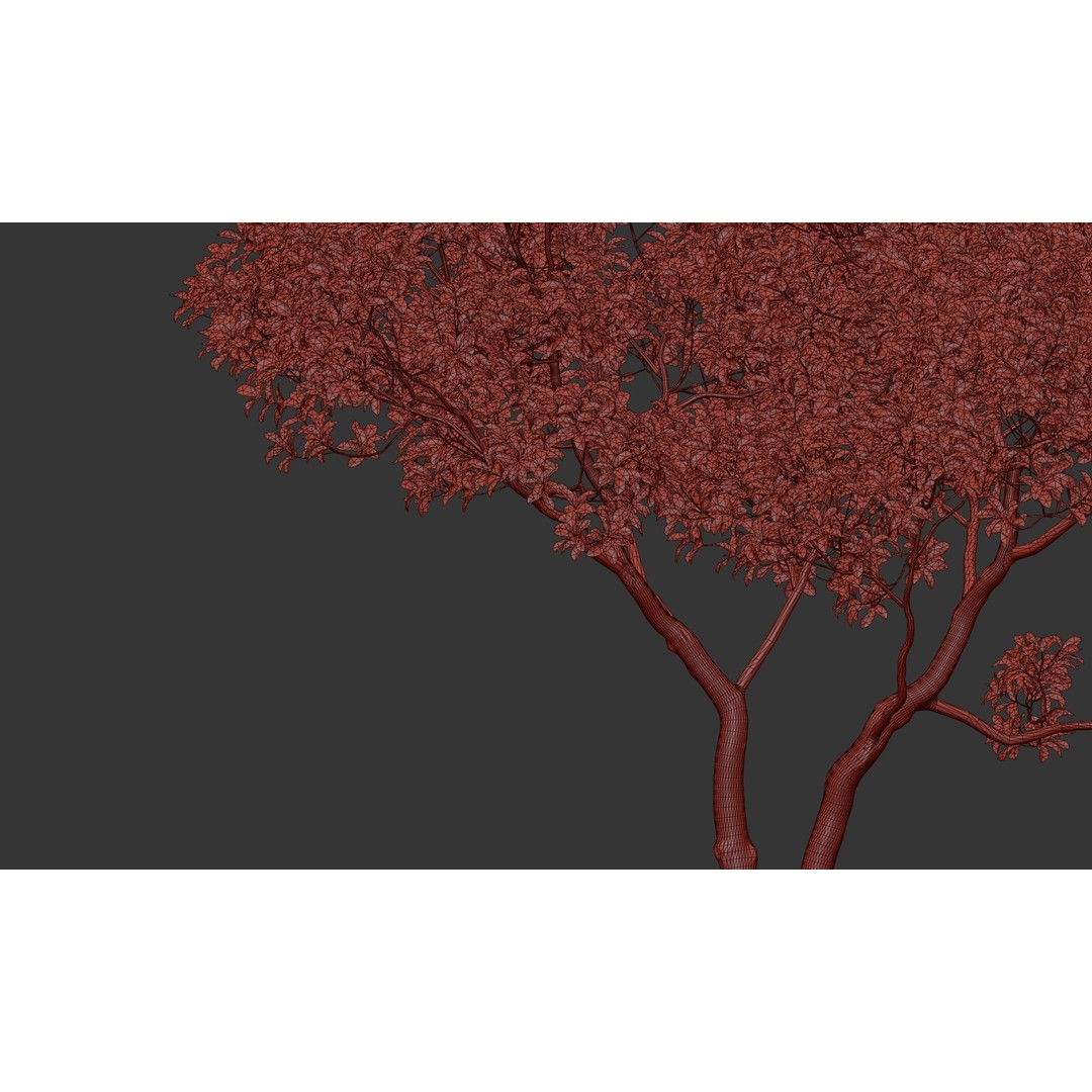 Magnolia Tree Set 3D Model – Low Poly Animated Asset for UE5
