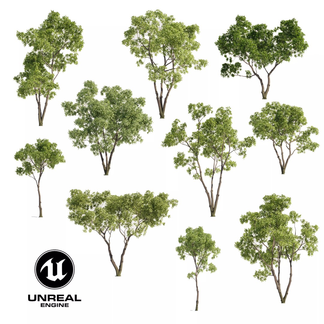 Magnolia Tree Set 3D Model – Low Poly Animated Asset for UE5 - View 2