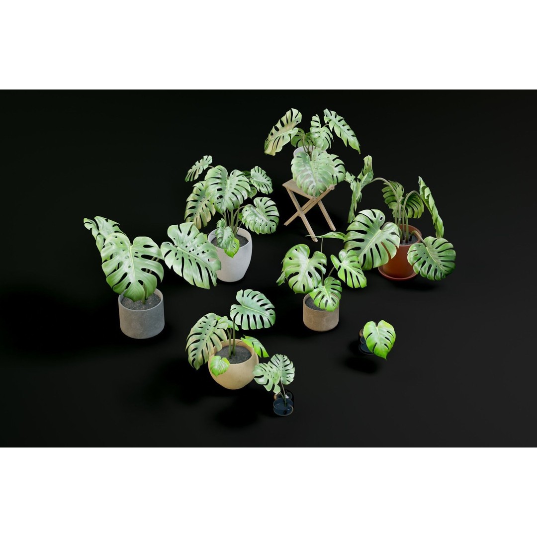 Plant Pack M03 3D Model – Low Poly PBR Vegetation for Unity and Unreal - View 10