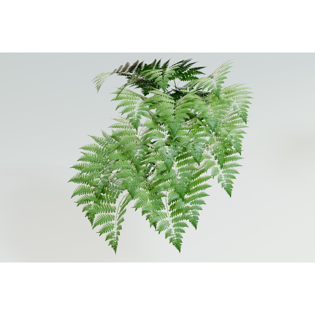 Plant Pack M03 3D Model – Low Poly PBR Vegetation for Unity and Unreal - View 11
