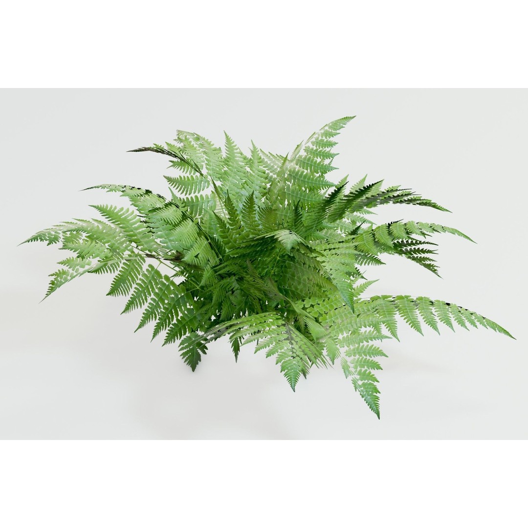 Plant Pack M03 3D Model – Low Poly PBR Vegetation for Unity and Unreal - View 12