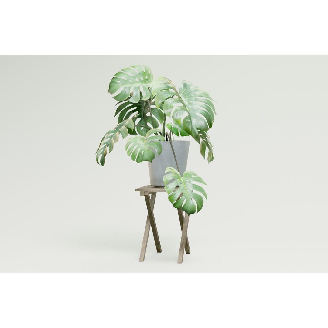 Plant Pack M03 3D Model – Low Poly PBR Vegetation for Unity and Unreal - View 13