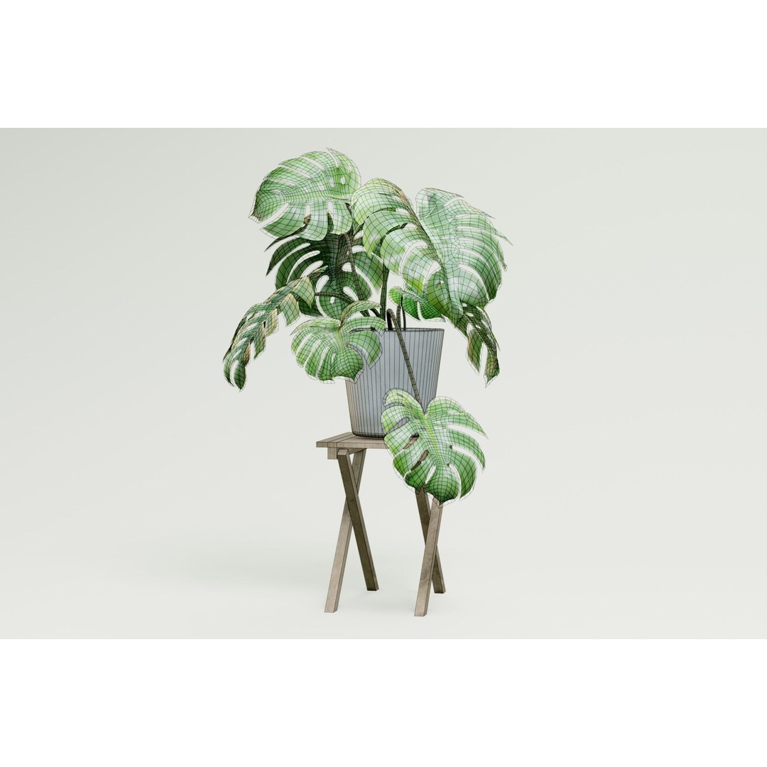 Plant Pack M03 3D Model – Low Poly PBR Vegetation for Unity and Unreal - View 14