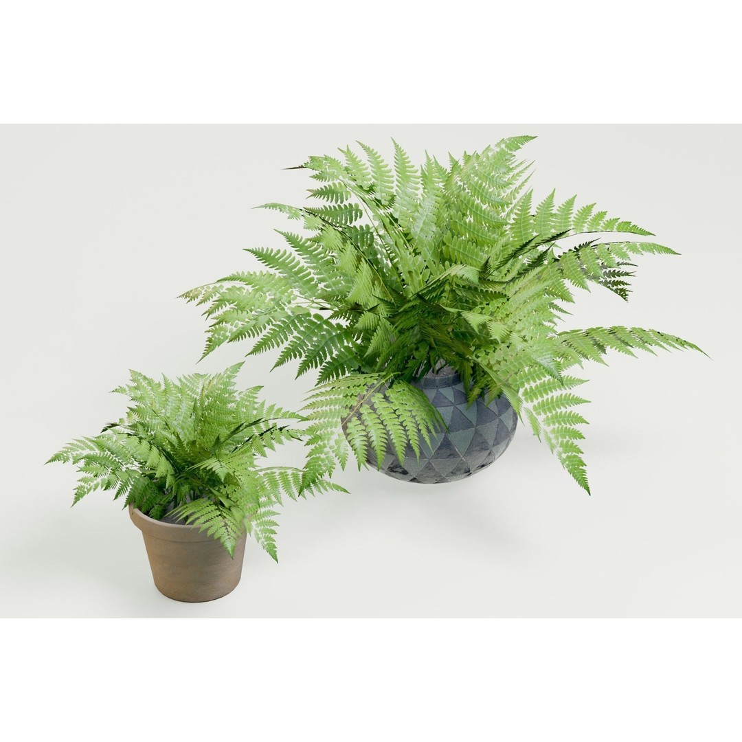 Plant Pack M03 3D Model – Low Poly PBR Vegetation for Unity and Unreal - View 15