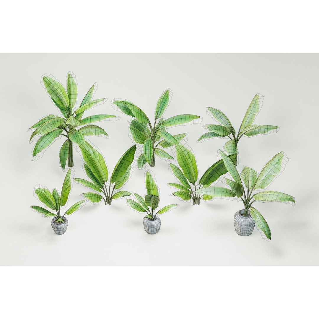 Plant Pack M03 3D Model – Low Poly PBR Vegetation for Unity and Unreal - View 17