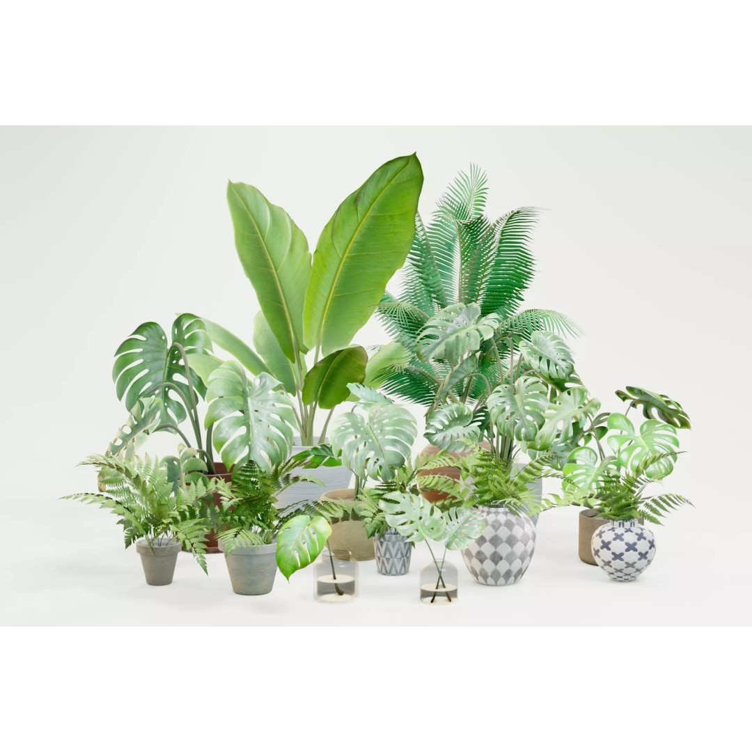Plant Pack M03 3D Model – Low Poly PBR Vegetation for Unity and Unreal - View 2