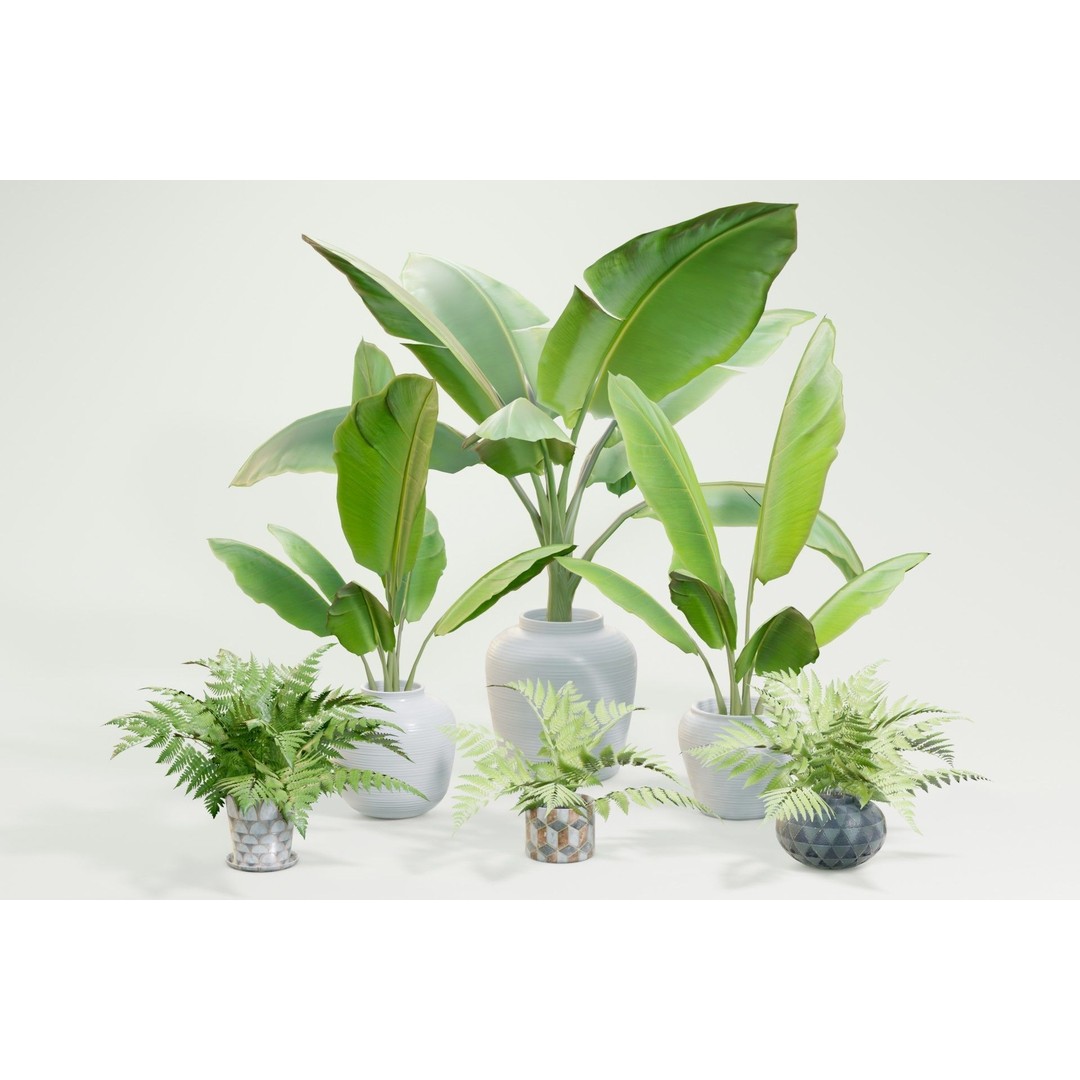 Plant Pack M03 3D Model – Low Poly PBR Vegetation for Unity and Unreal - View 5