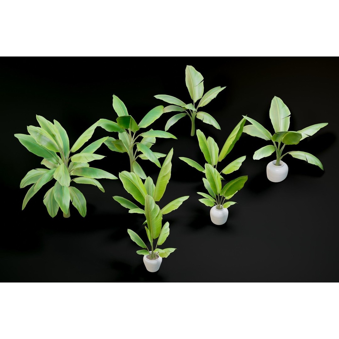 Plant Pack M03 3D Model – Low Poly PBR Vegetation for Unity and Unreal - View 8