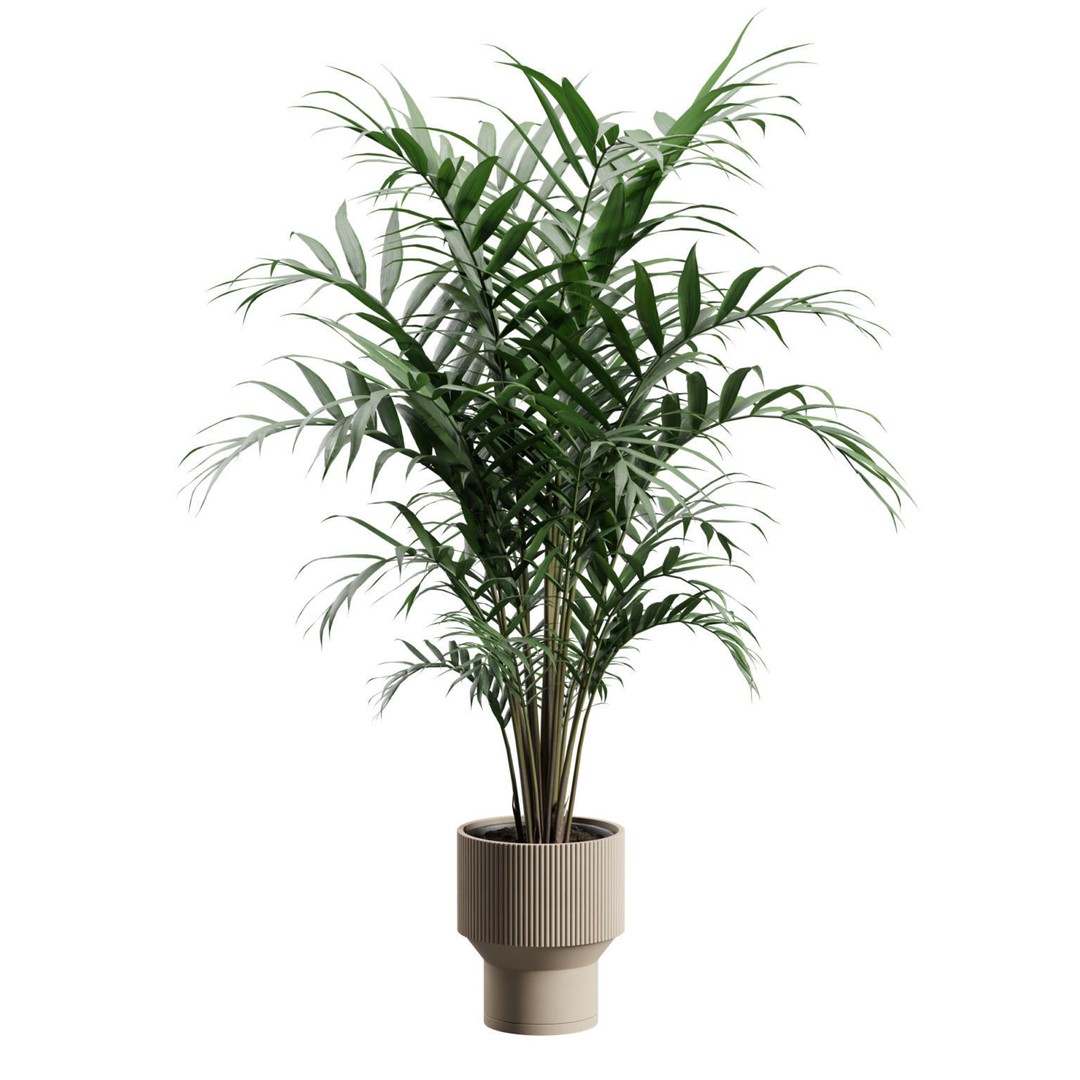Kentia Palm Plant 3D Model – PBR Pot Plant for Interior Rendering