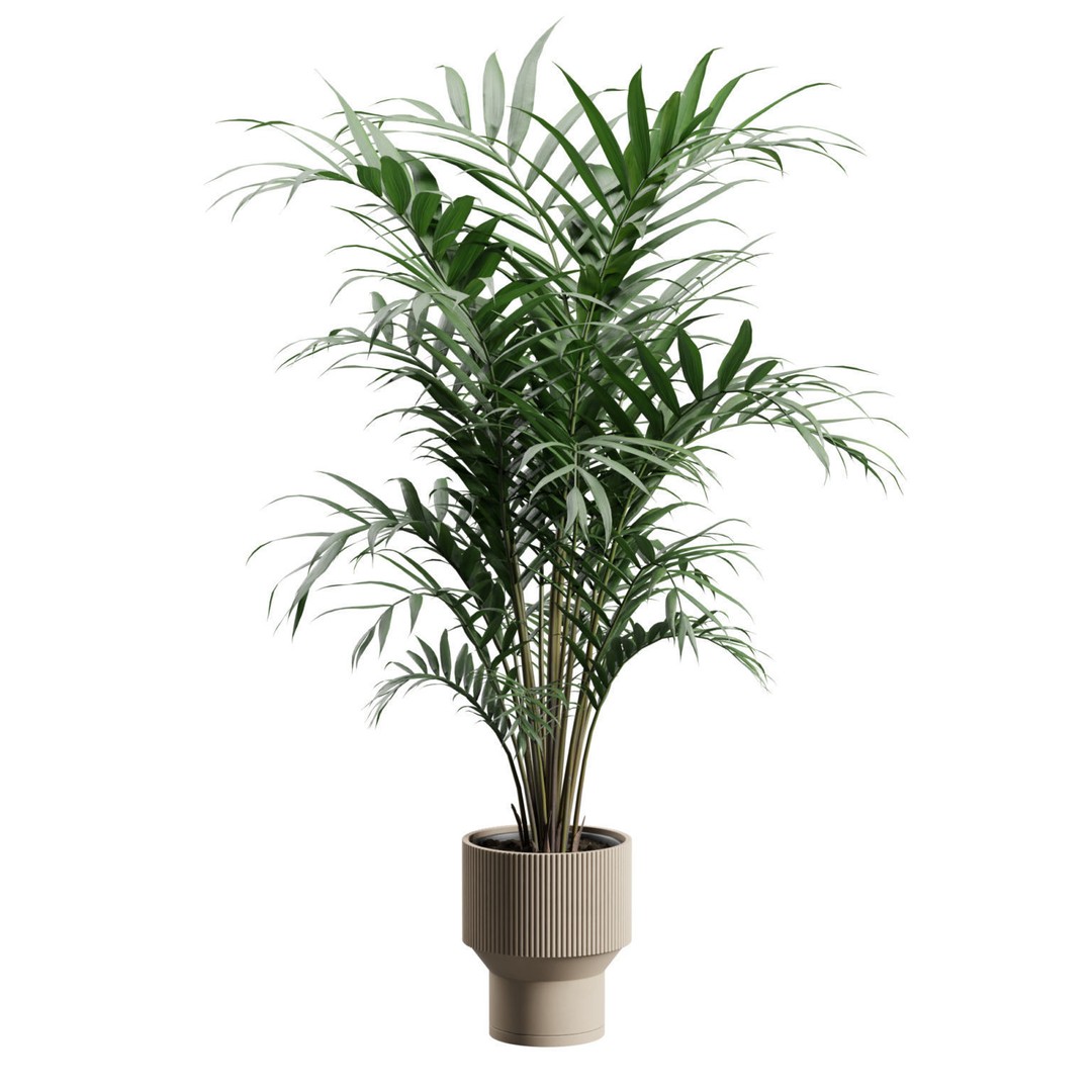 Kentia Palm Plant 3D Model – PBR Pot Plant for Interior Rendering - View 3
