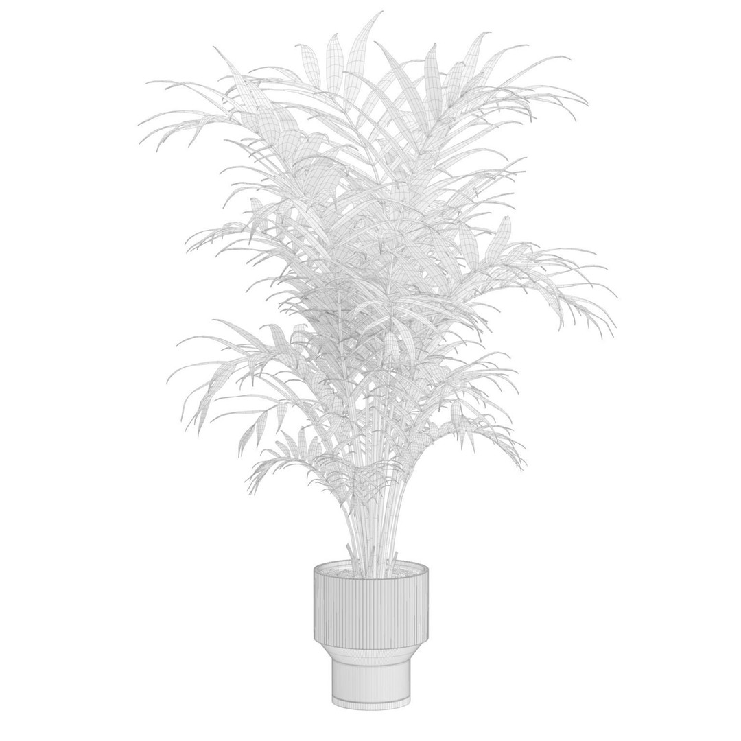 Kentia Palm Plant 3D Model – PBR Pot Plant for Interior Rendering - View 4