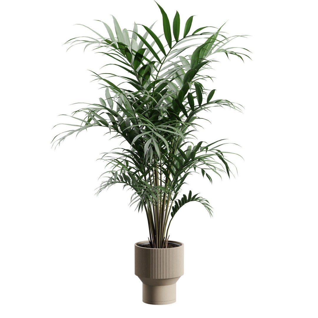 Kentia Palm Plant 3D Model – PBR Pot Plant for Interior Rendering - View 8