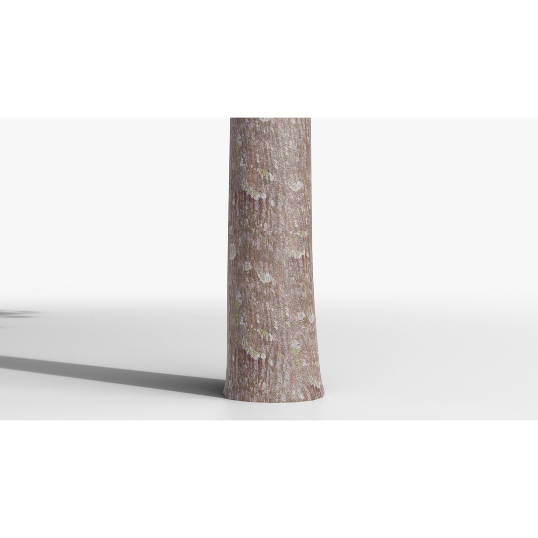 Platanus Hispánica Roof Form 3D Model – High Detail PBR Asset, Blender - View 10