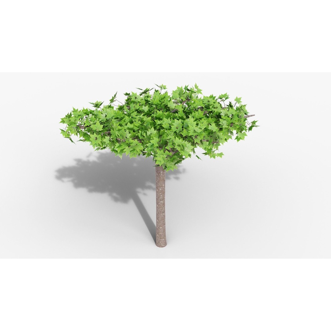Platanus Hispánica Roof Form 3D Model – High Detail PBR Asset, Blender - View 5