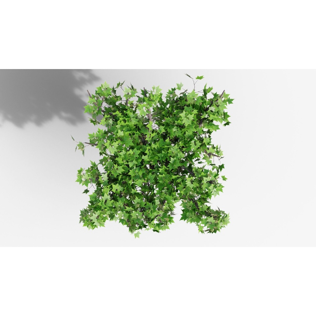 Platanus Hispánica Roof Form 3D Model – High Detail PBR Asset, Blender - View 6