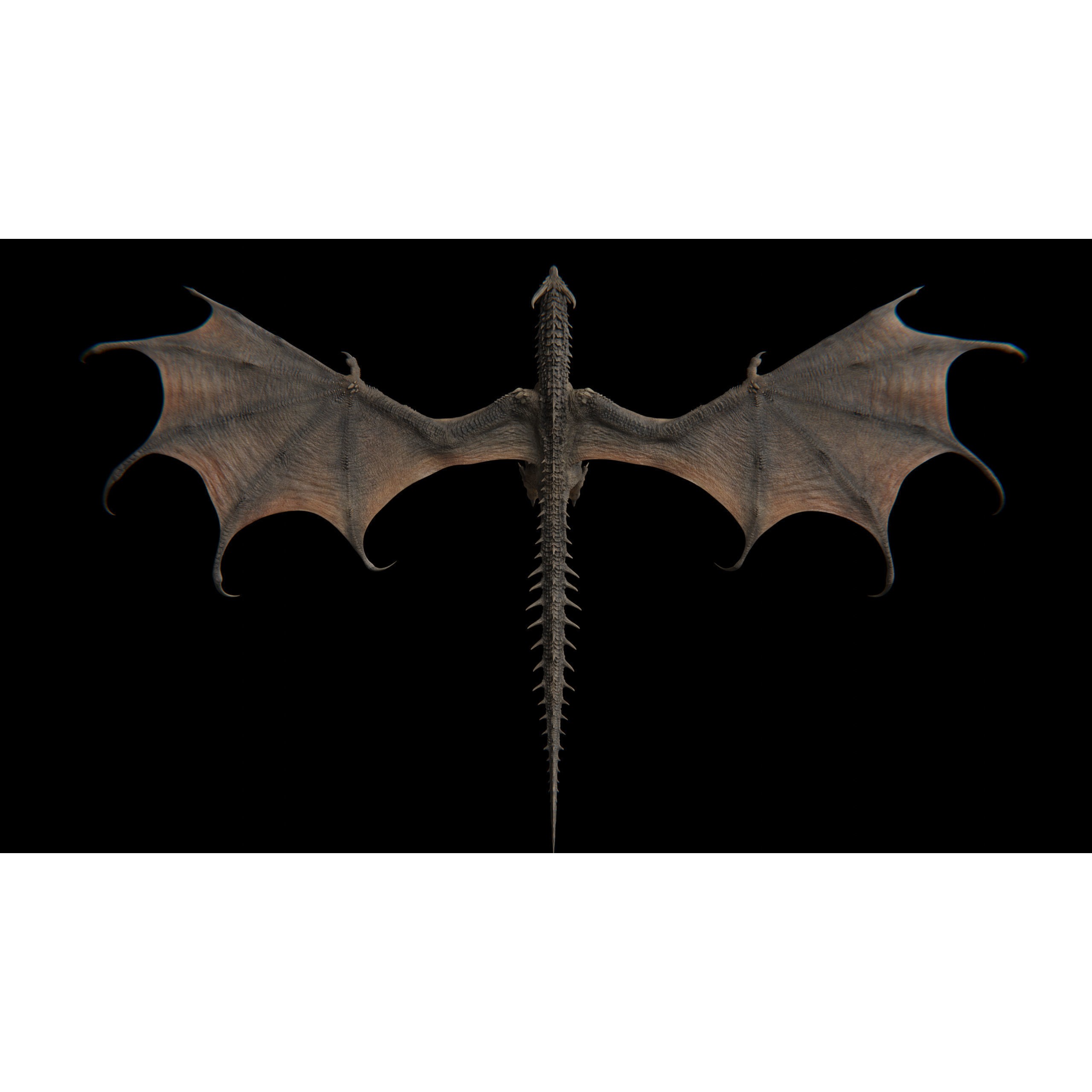 Dreadthorn Dragon - Low-Poly Game-Ready 3D Model - View 39