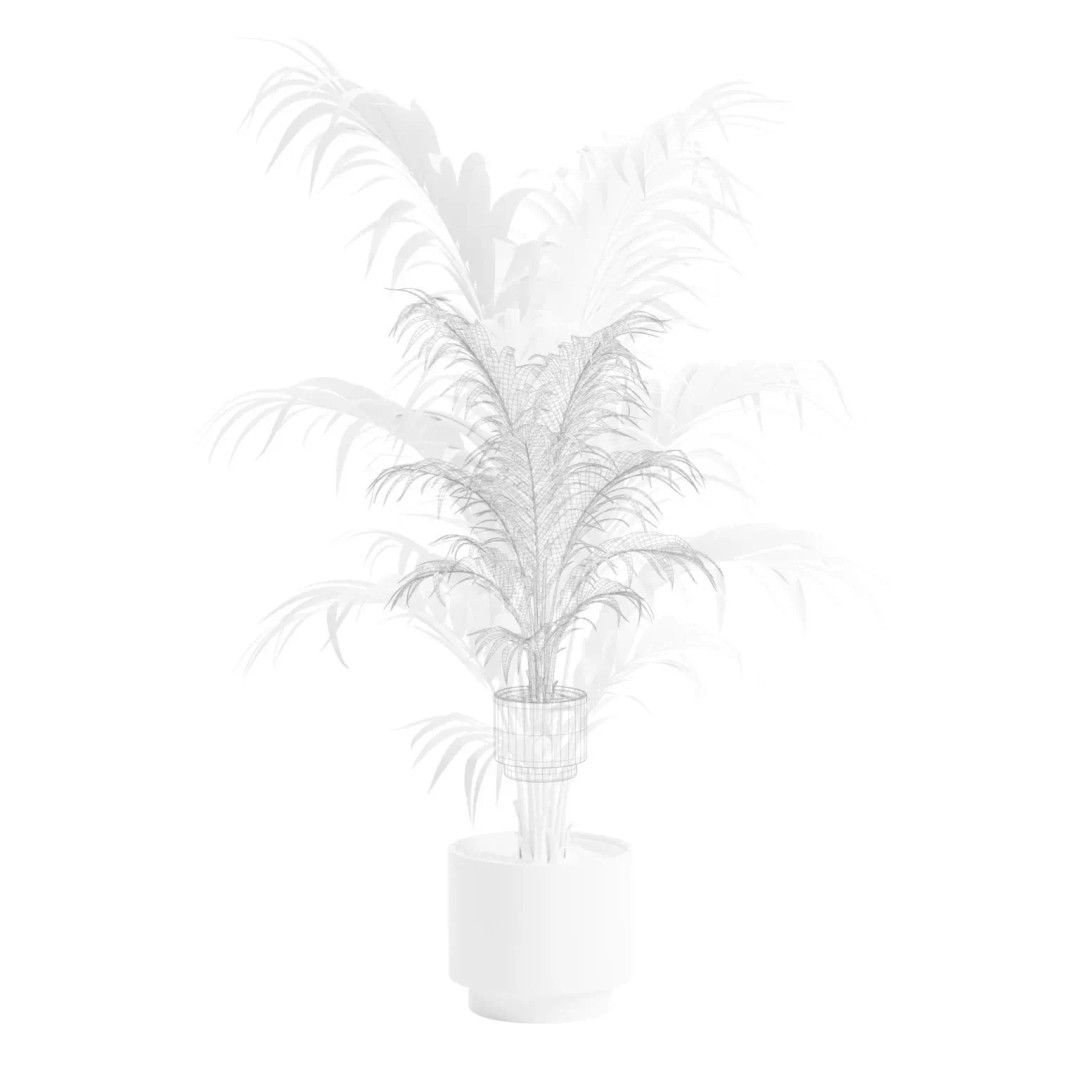 Areca Palm 3D Model – Indoor Plant in Dark Planter, PBR Textures - View 4
