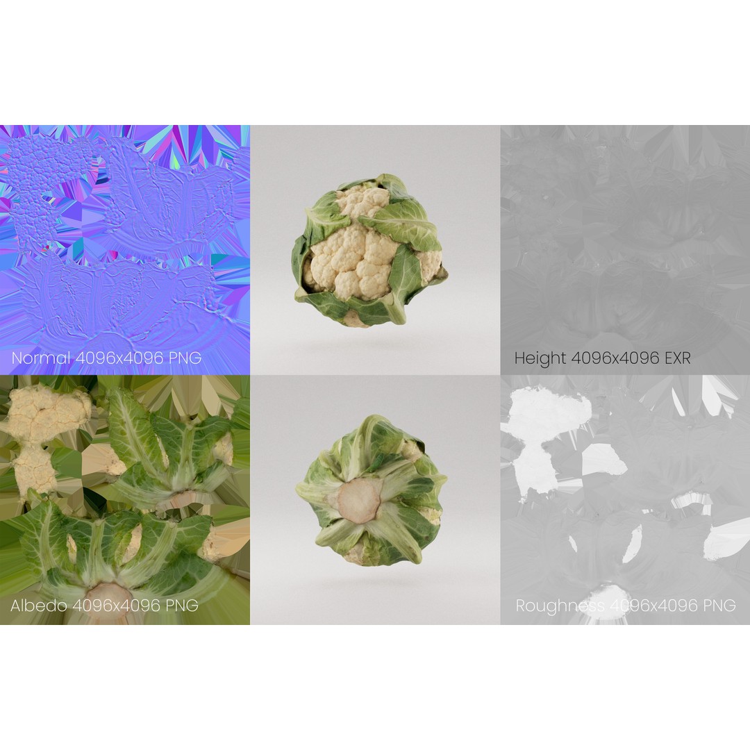 Cauliflower 3D Model – Realistic PBR Asset, FBX, OBJ, C4D