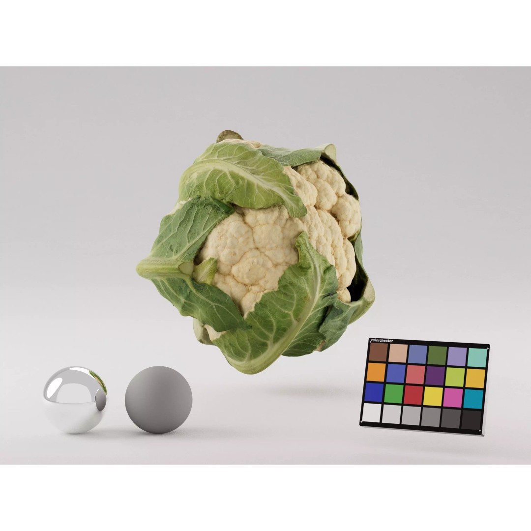 Cauliflower 3D Model – Realistic PBR Asset, FBX, OBJ, C4D - View 2