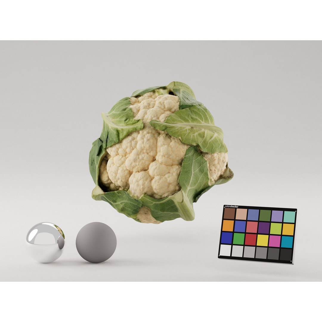Cauliflower 3D Model – Realistic PBR Asset, FBX, OBJ, C4D - View 3