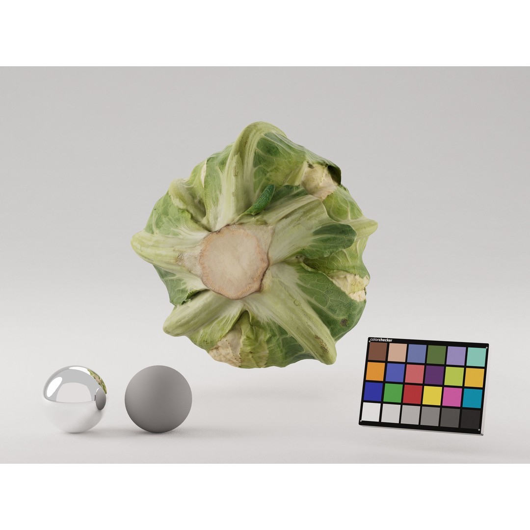 Cauliflower 3D Model – Realistic PBR Asset, FBX, OBJ, C4D - View 4