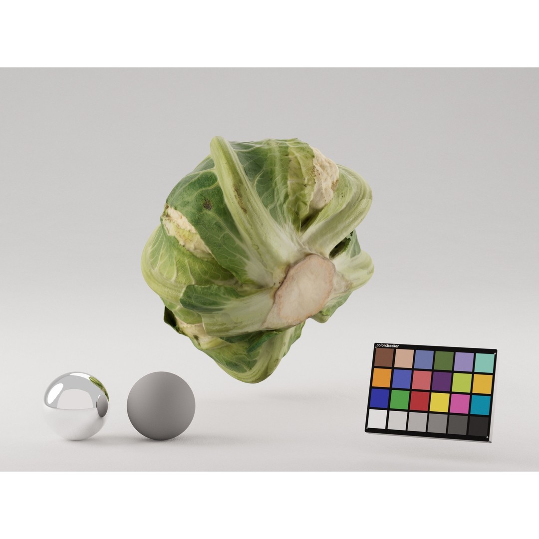Cauliflower 3D Model – Realistic PBR Asset, FBX, OBJ, C4D - View 5