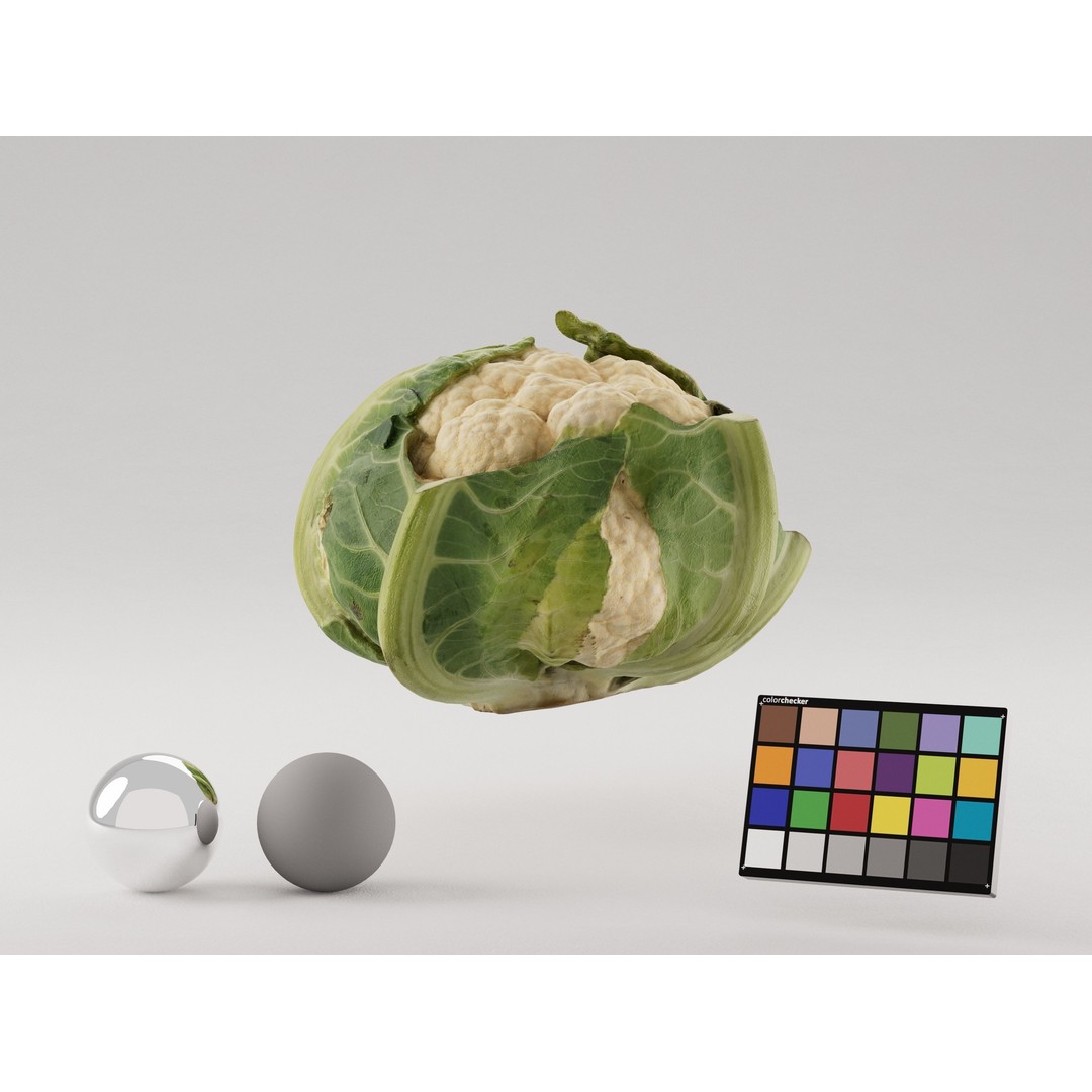 Cauliflower 3D Model – Realistic PBR Asset, FBX, OBJ, C4D - View 6